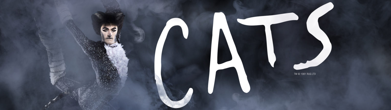 Cats on Broadway