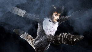 So You Think You Can Dance … Cats?