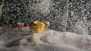 <i>Slava’s Snowshow</i> Debuts on BroadwayHD