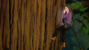 <i>Redwood</i> Starring Idina Menzel to Close on Broadway