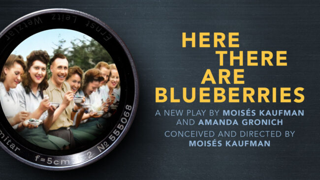 Here There Are Blueberries