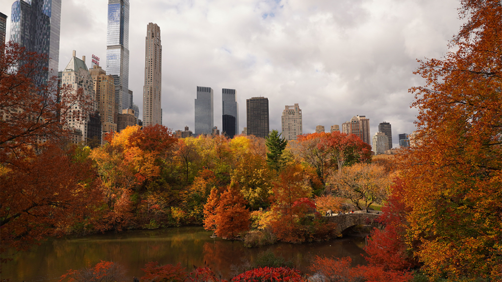 Top 5 Things To Do In NYC This Fall