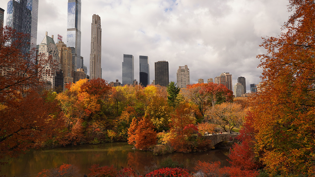 Header_FallGuide