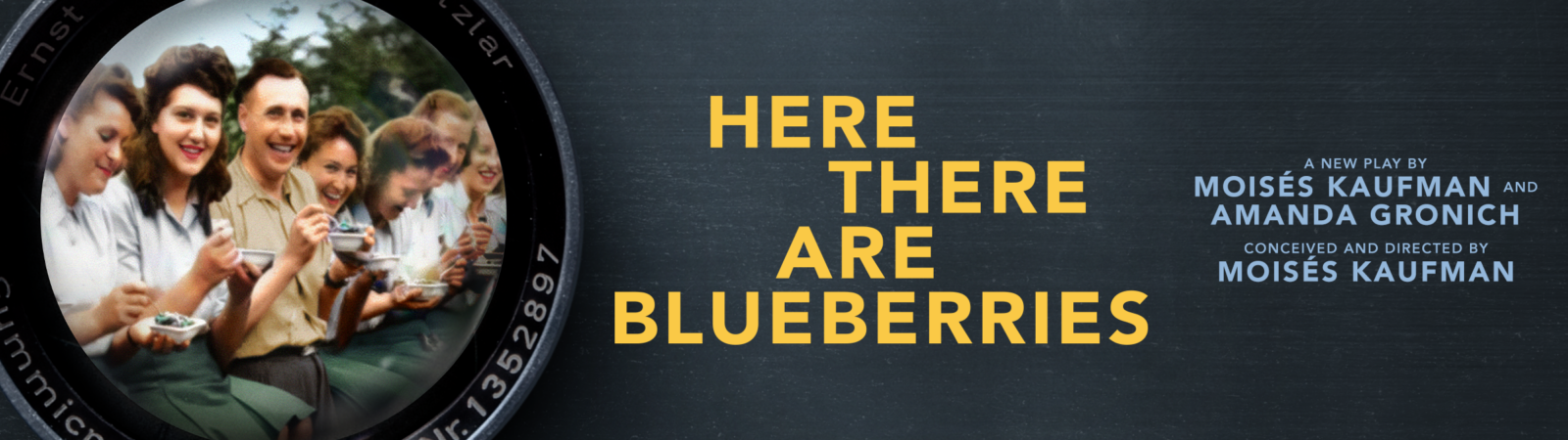 Here There Are Blueberries